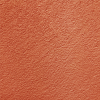 C35 (Apricot)
