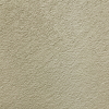 C19 (Champagne)