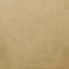 M19 (Champagne)