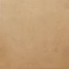 DC06 (Egg Shell)