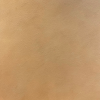 LP25 (Almond)