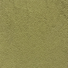 S12 (Matcha)