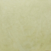 V18 (Olive)