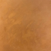 LP56 (Bronze)*